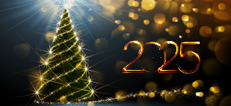 Merry Christmas and Happy New Year 2025!